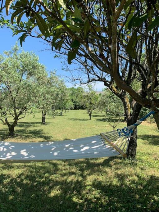 Le Nomade En Provence Bed & Breakfast Bouchet  Екстериор снимка