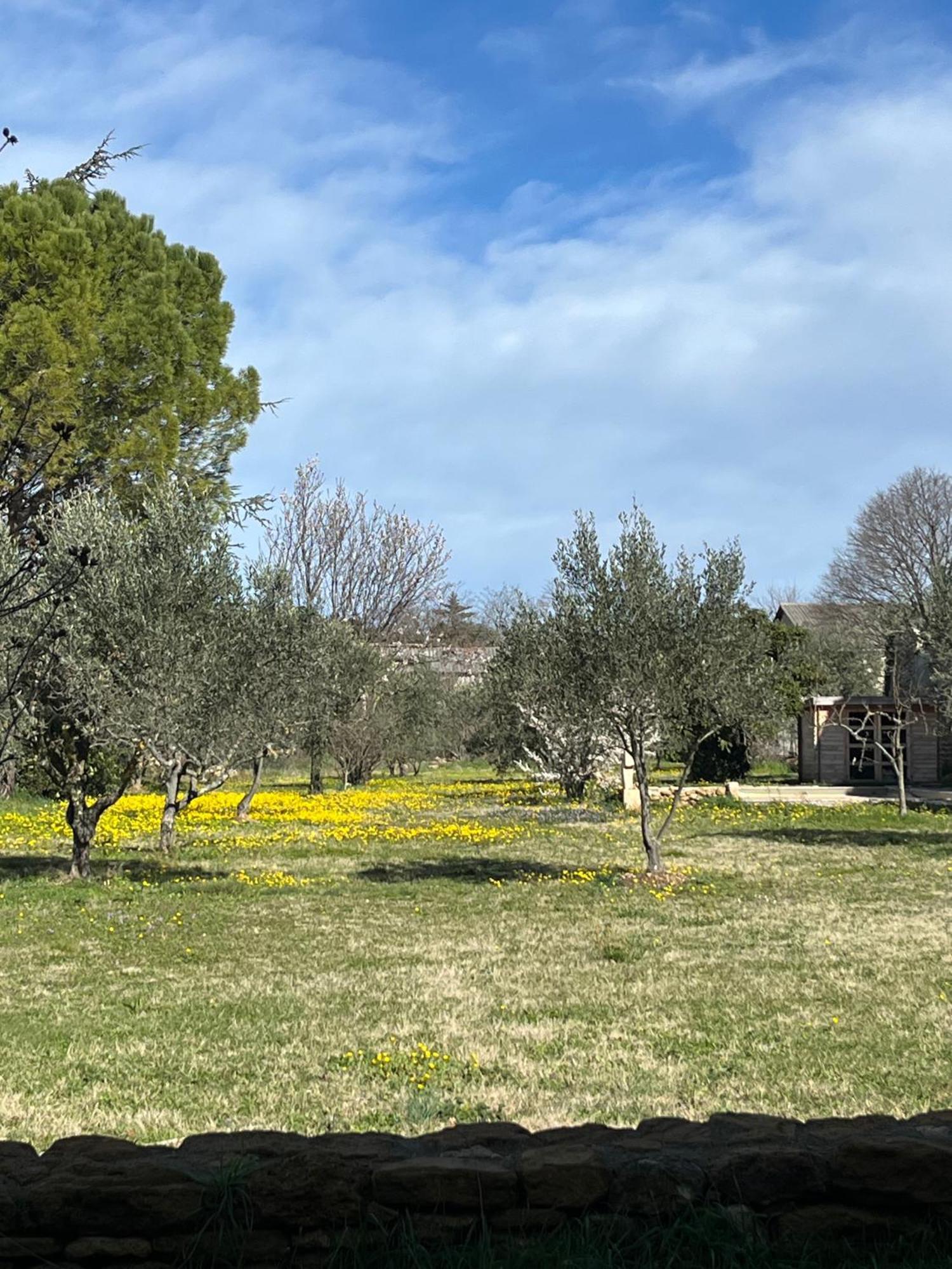 Le Nomade En Provence Bed & Breakfast Bouchet  Екстериор снимка