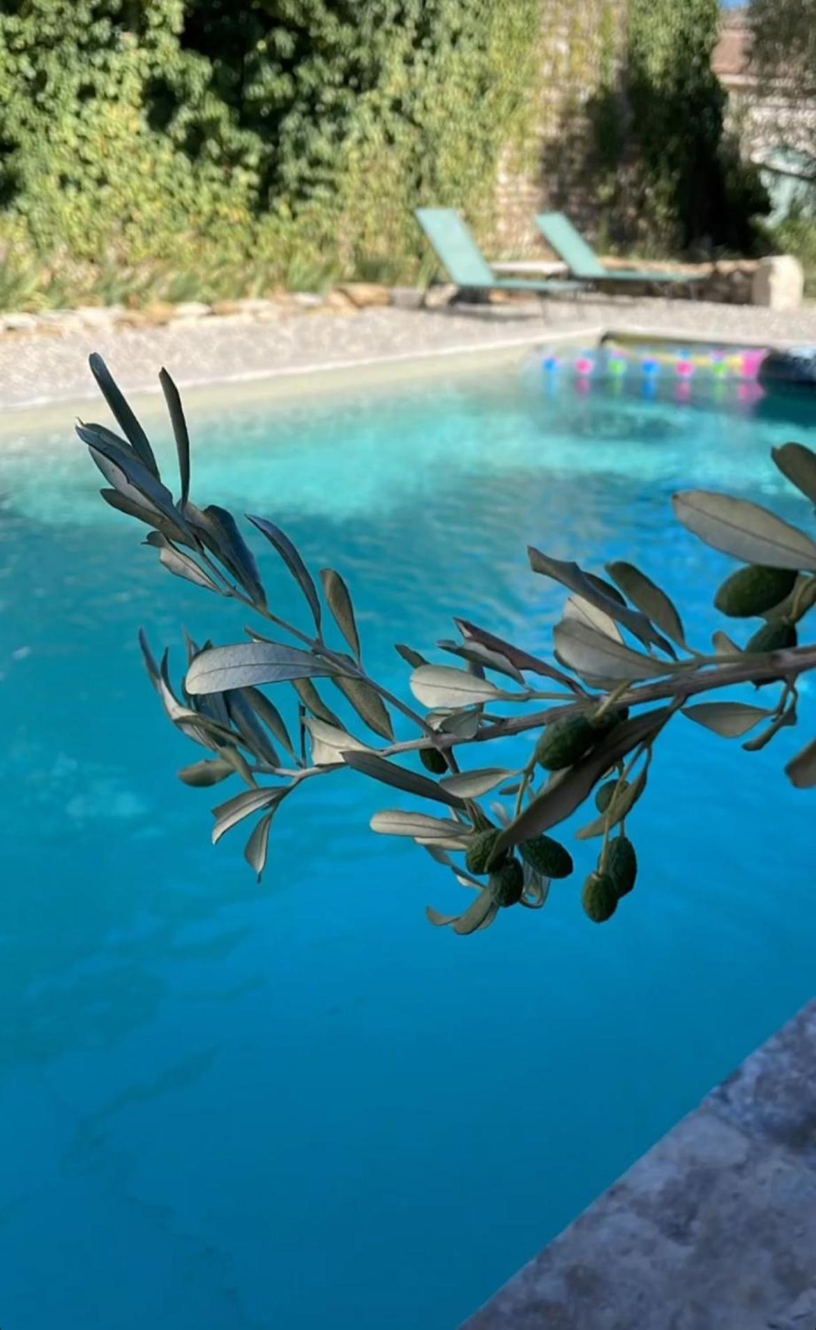 Le Nomade En Provence Bed & Breakfast Bouchet  Екстериор снимка